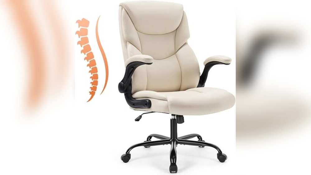 Best Ergonomic Office Chair